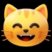 grinning cat with smiling eyes